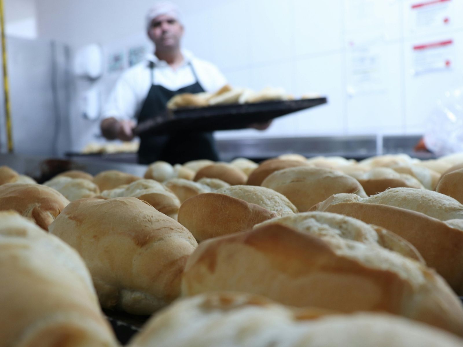 Halal Bakery Certification